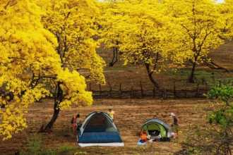 Camping Ecuador