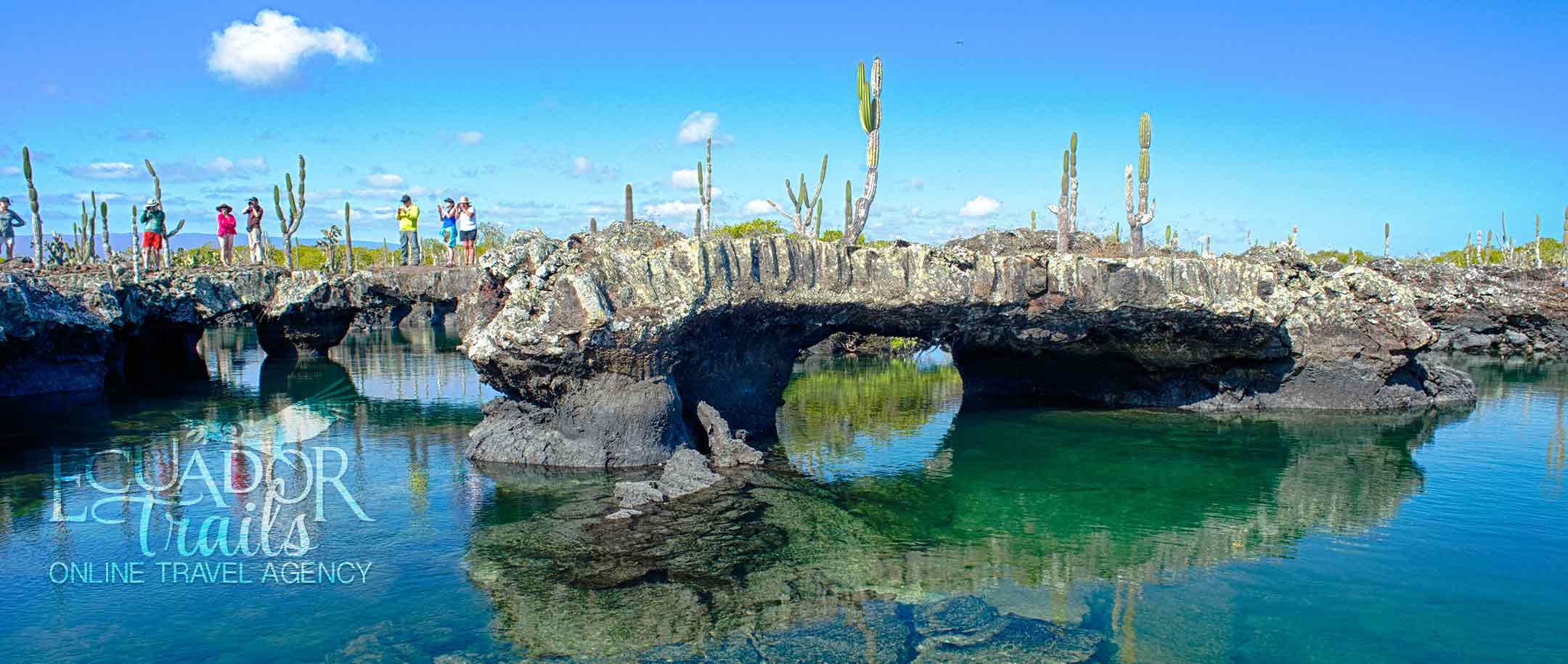 Ecuador Trails