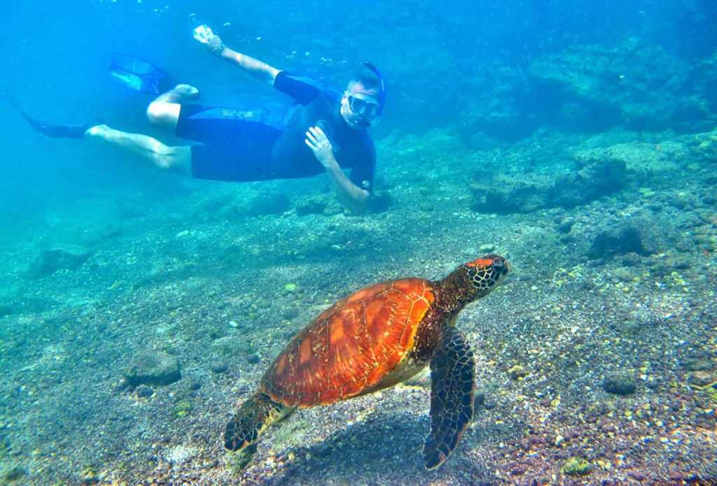Snorkeling Ecuador Trails