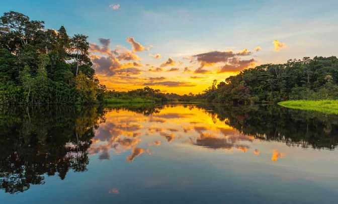 Exploring the Jaguar Trail – Amazon Rainforest
